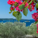 Holiday home House Pelegrin Vela Luka