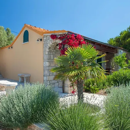 Holiday home House Pelegrin *