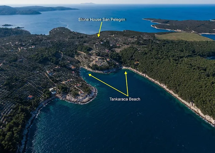 House Pelegrin Vela Luka