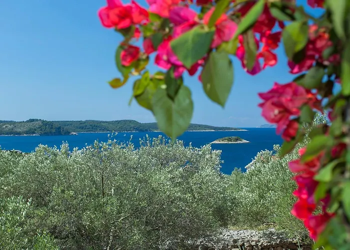 Holiday home House Pelegrin Vela Luka